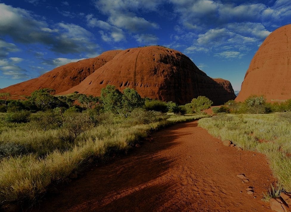 Reviewing Australian visa application requirements with a migration agent